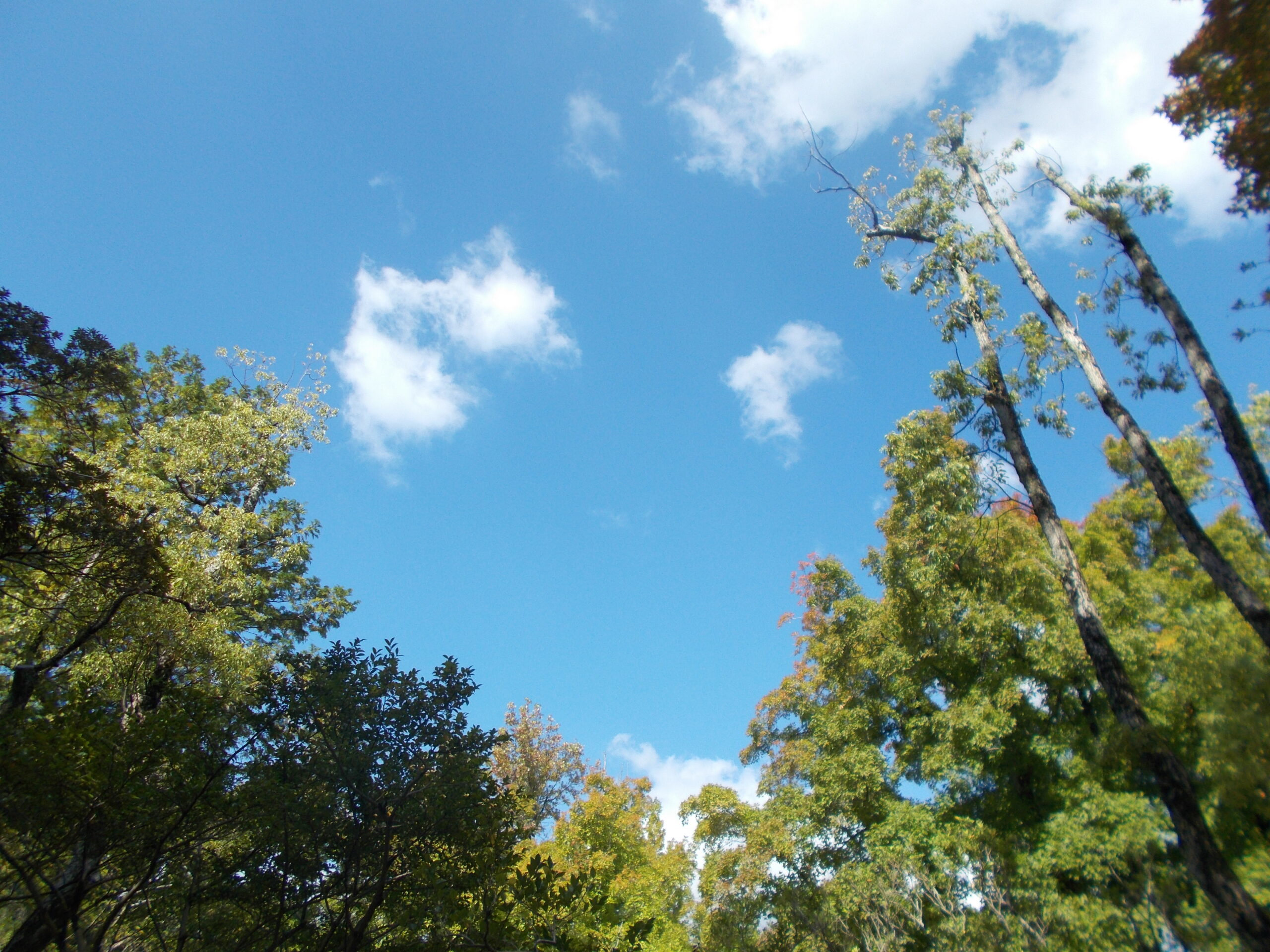 10月の活動報告