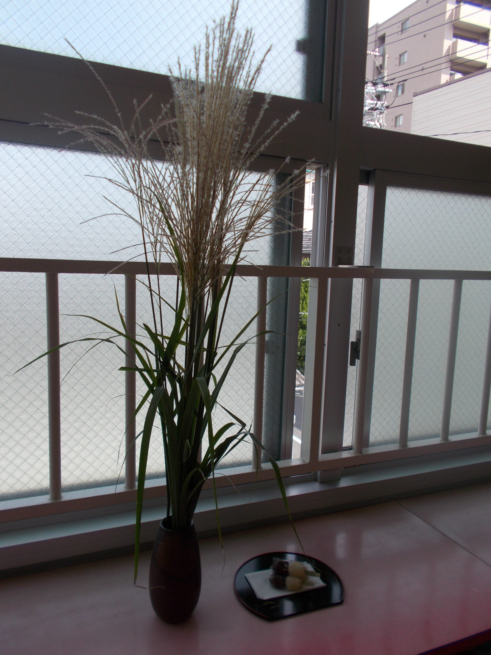 ９月の活動報告