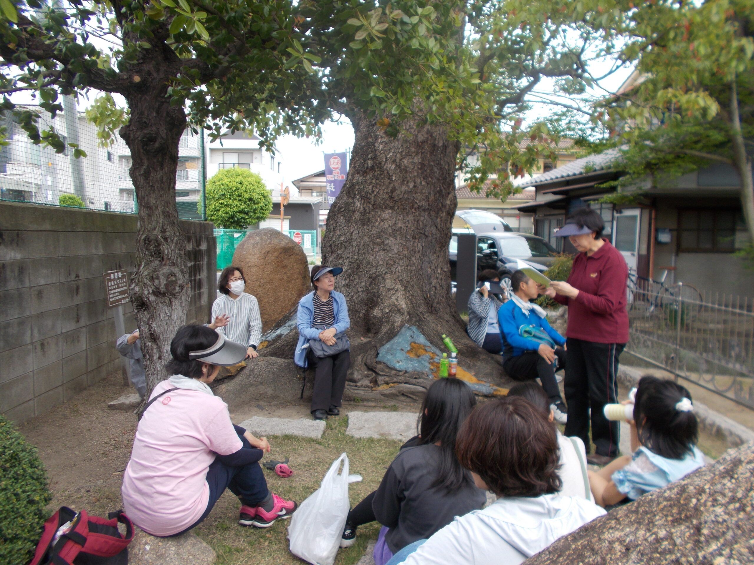 ４月の活動報告